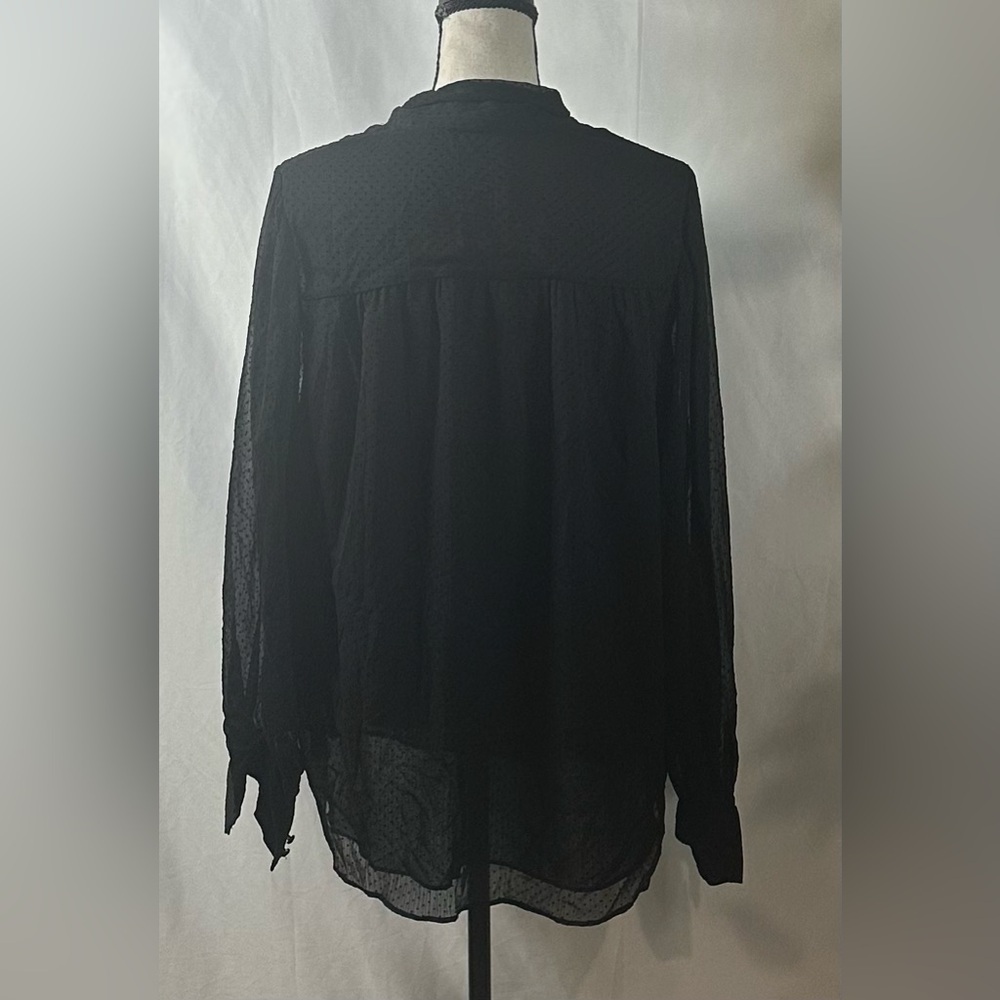 Elegant Black Sheer Blouse - Picture 5 of 9